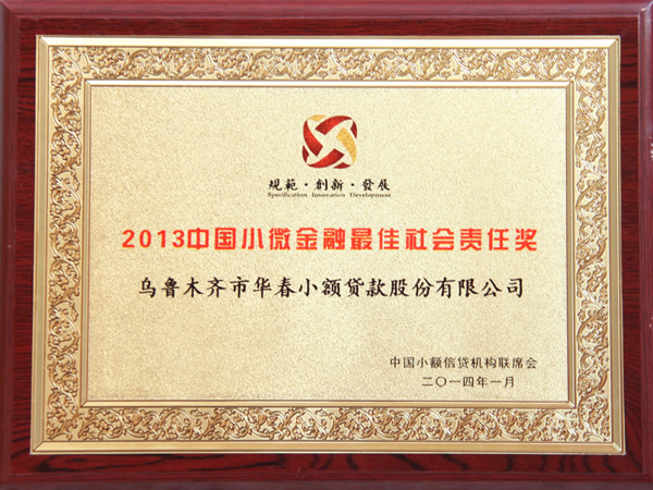 2013中國(guó)小微金融最佳社會(huì)責(zé)任獎(jiǎng)